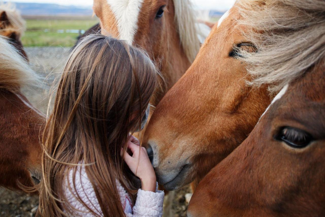 Hestaland Guesthouse Horse Farm Stay Statharhus Экстерьер фото